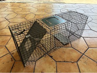 Cat / iguana / animal trap