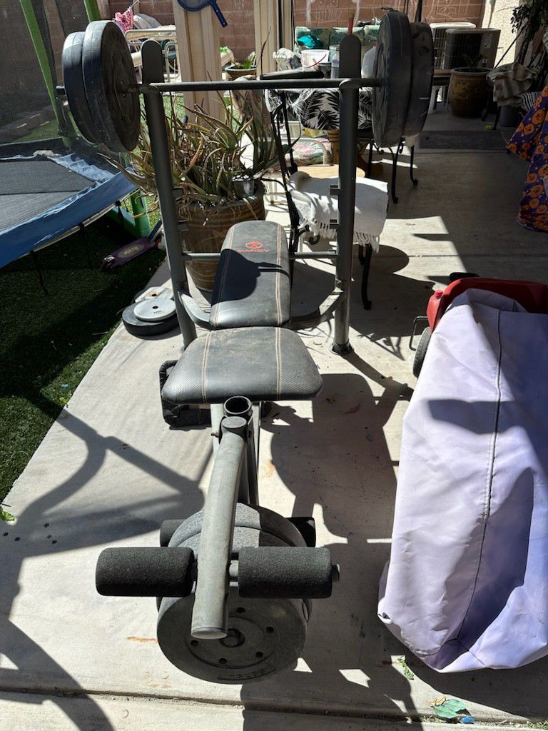 Weight Bench With Weights Included