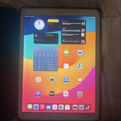 iPad