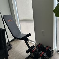 Bench + 55lb dumbbells set for sell