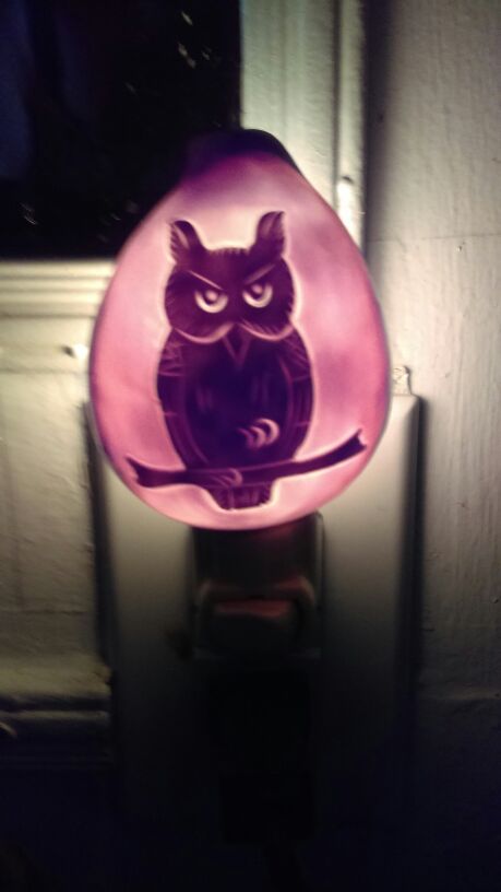 Owl nightlight 8.00