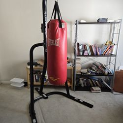 Everlast Punching Bag with Stand