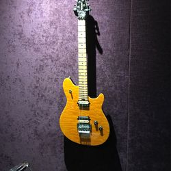 PV Wolfgang special guitar