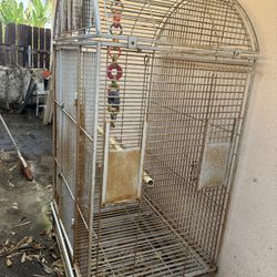 Bird Cage 