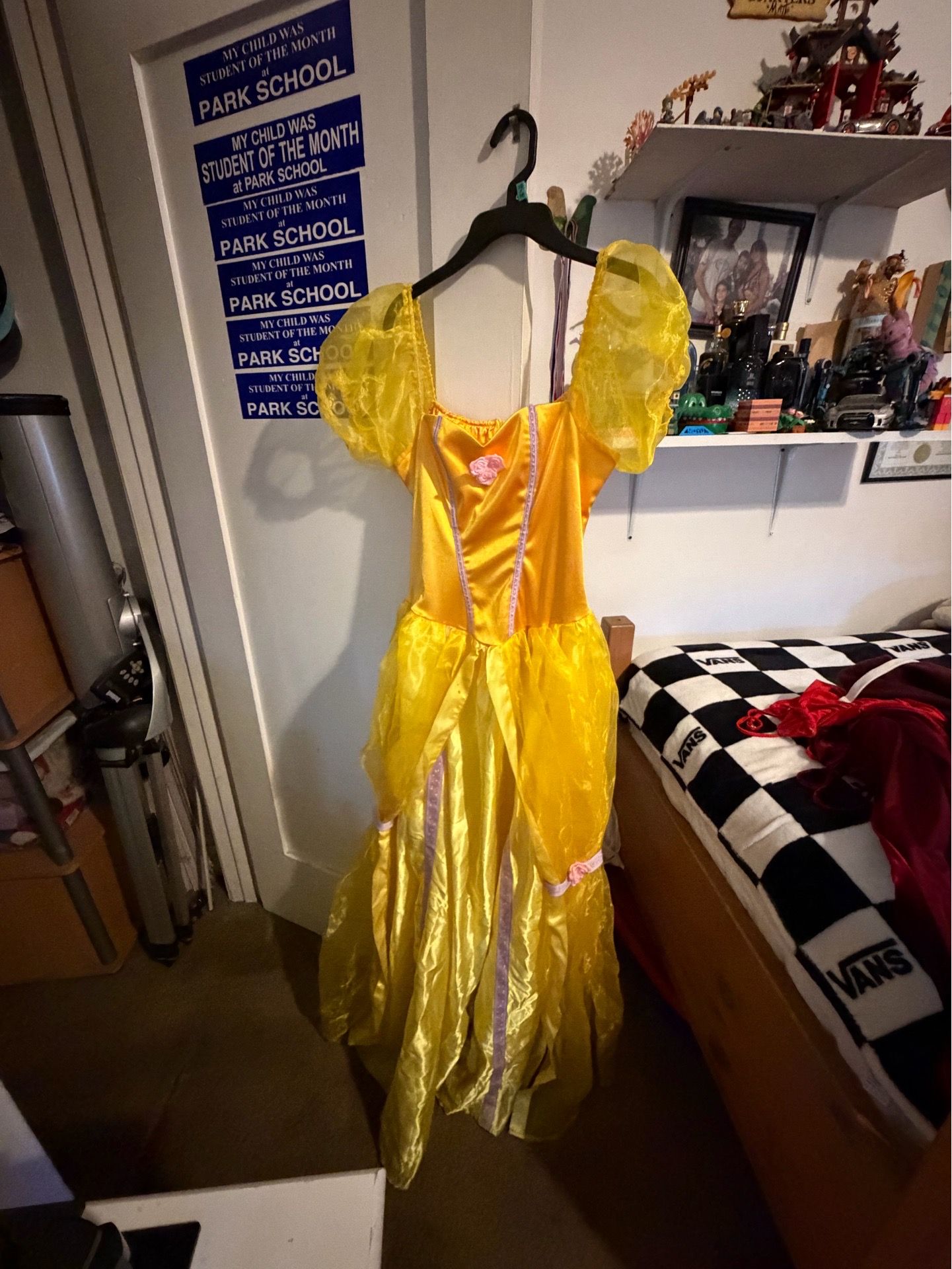 Belle Costume