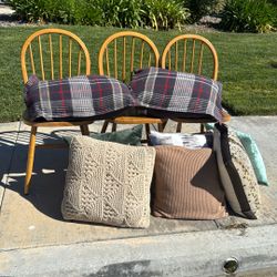 Free Today!! Come And Get them! 