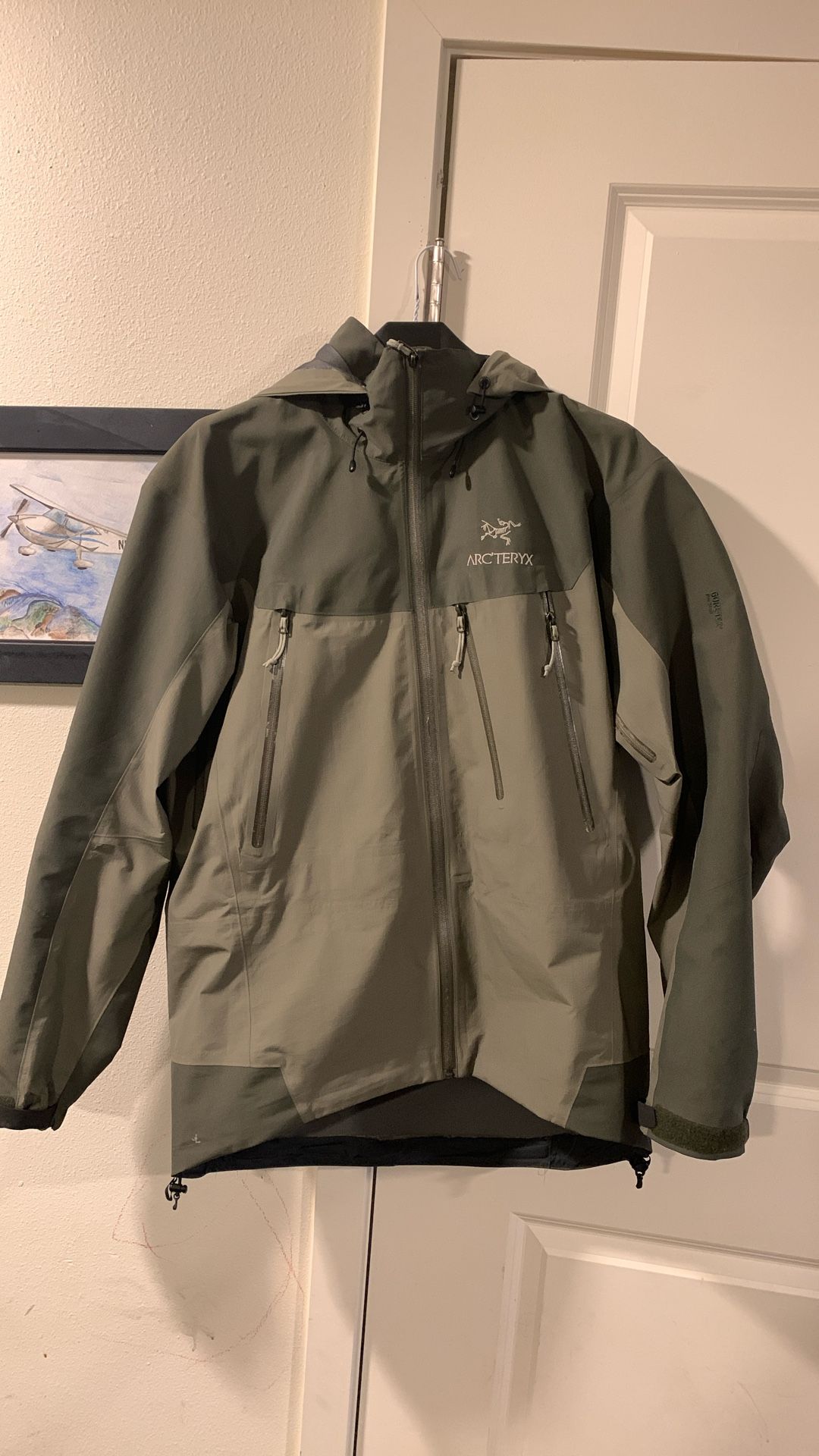RARE Y2K Oregano Arcteryx Theta Ar Jacket Gore-Tex Pro Shell