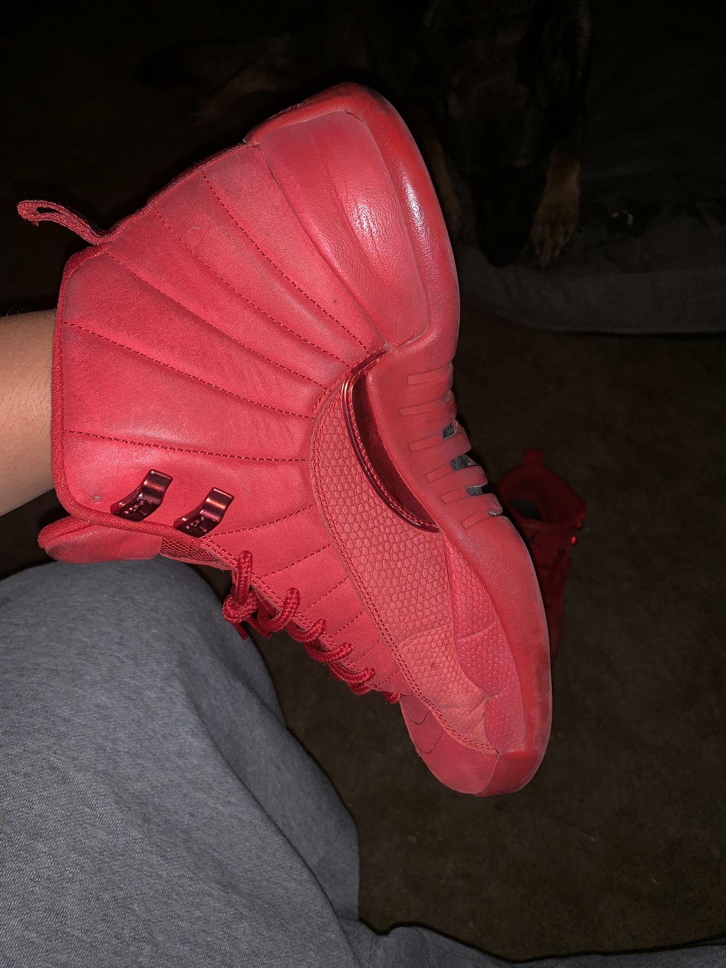 Size 12, Jordan 12s