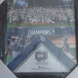 Attn Rays Fans Offical ALS 2020 Plaque 