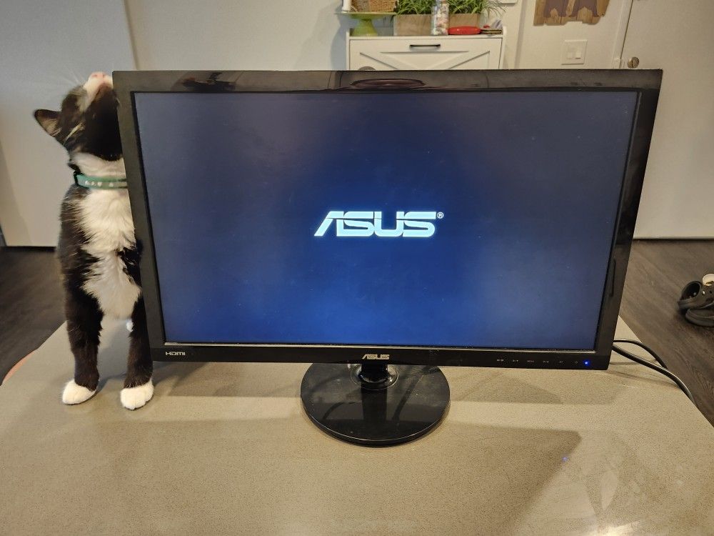 ASUS 24 Inch Gaming Monitor