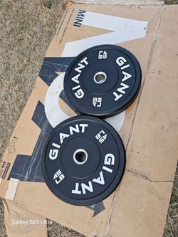 Bumper Weights 2x45