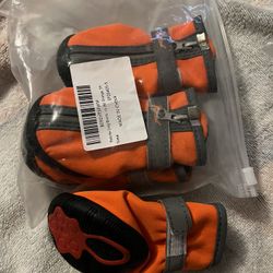 Dog Boots