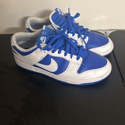 Nike Dunks 9.5 Used Men