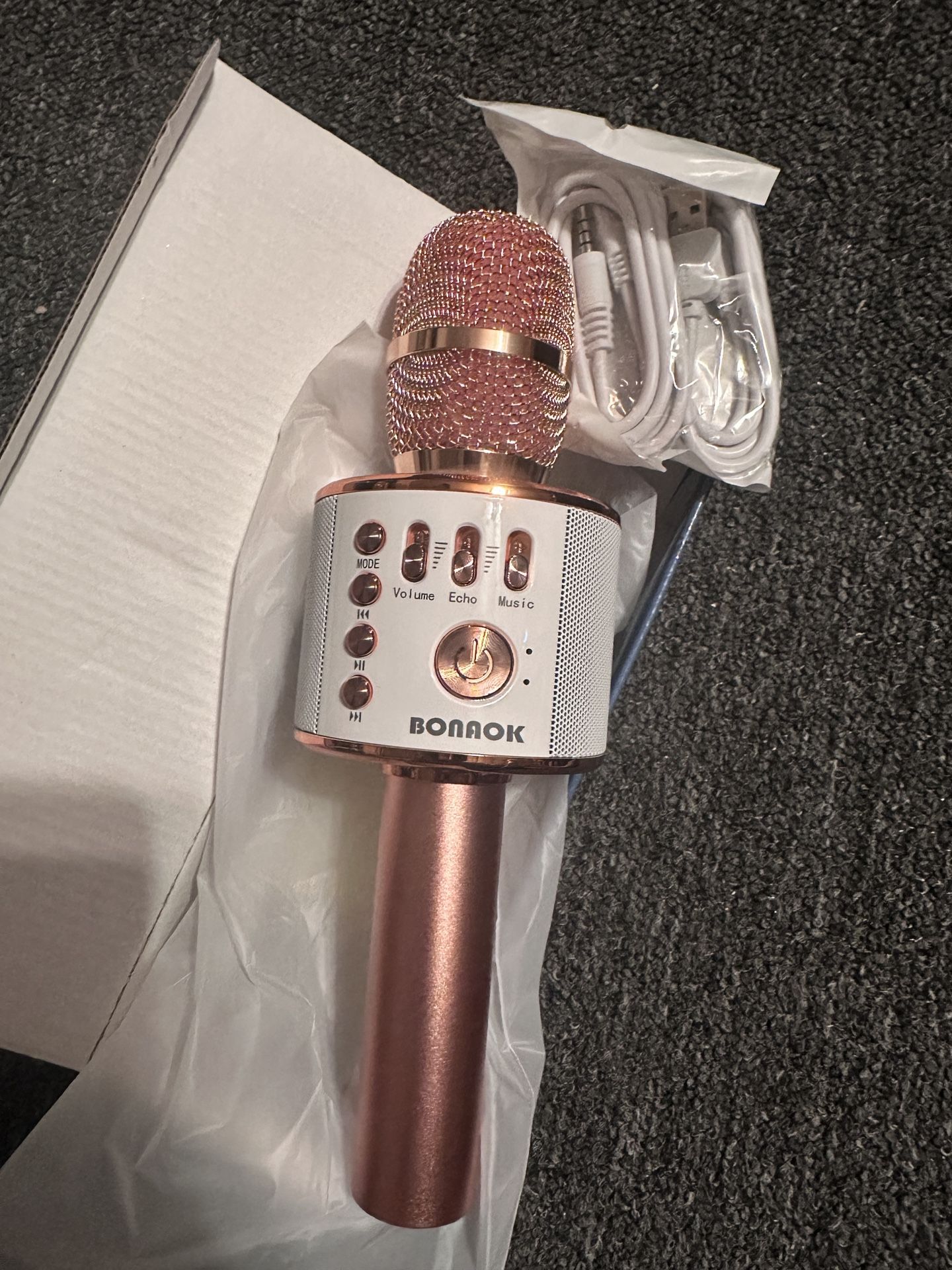 Karaoke Microphone