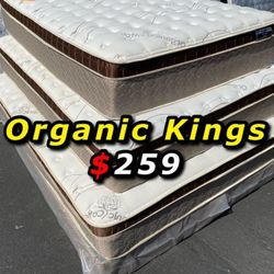 Organic King Cloud Edition Europillow Top: 