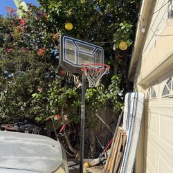 Basketball Hoop 