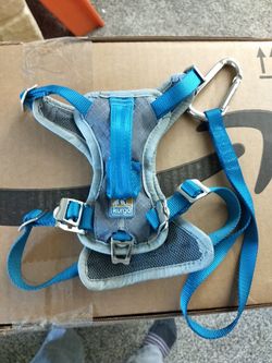 Dog harness