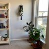 Conscious Closet