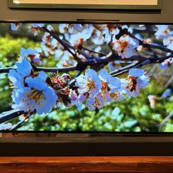 50" TV and Surround Sound System