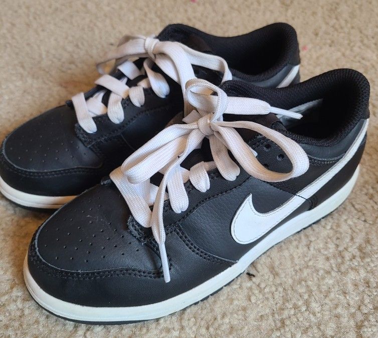 Kids Nike Dunks