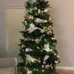 Rope Woven Tree Collar