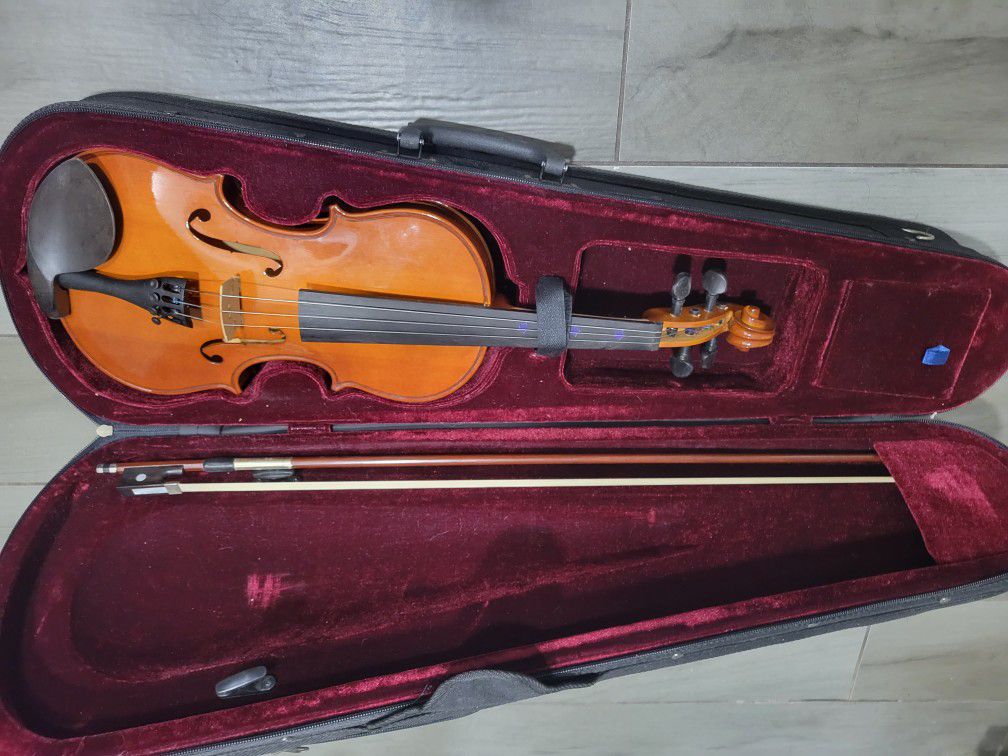Acoustic Violin 