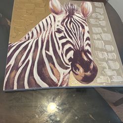 Zebra Picture