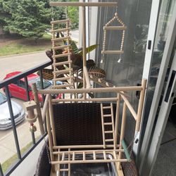 Bird Playground