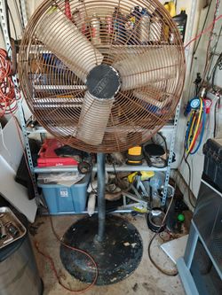 Big fan
