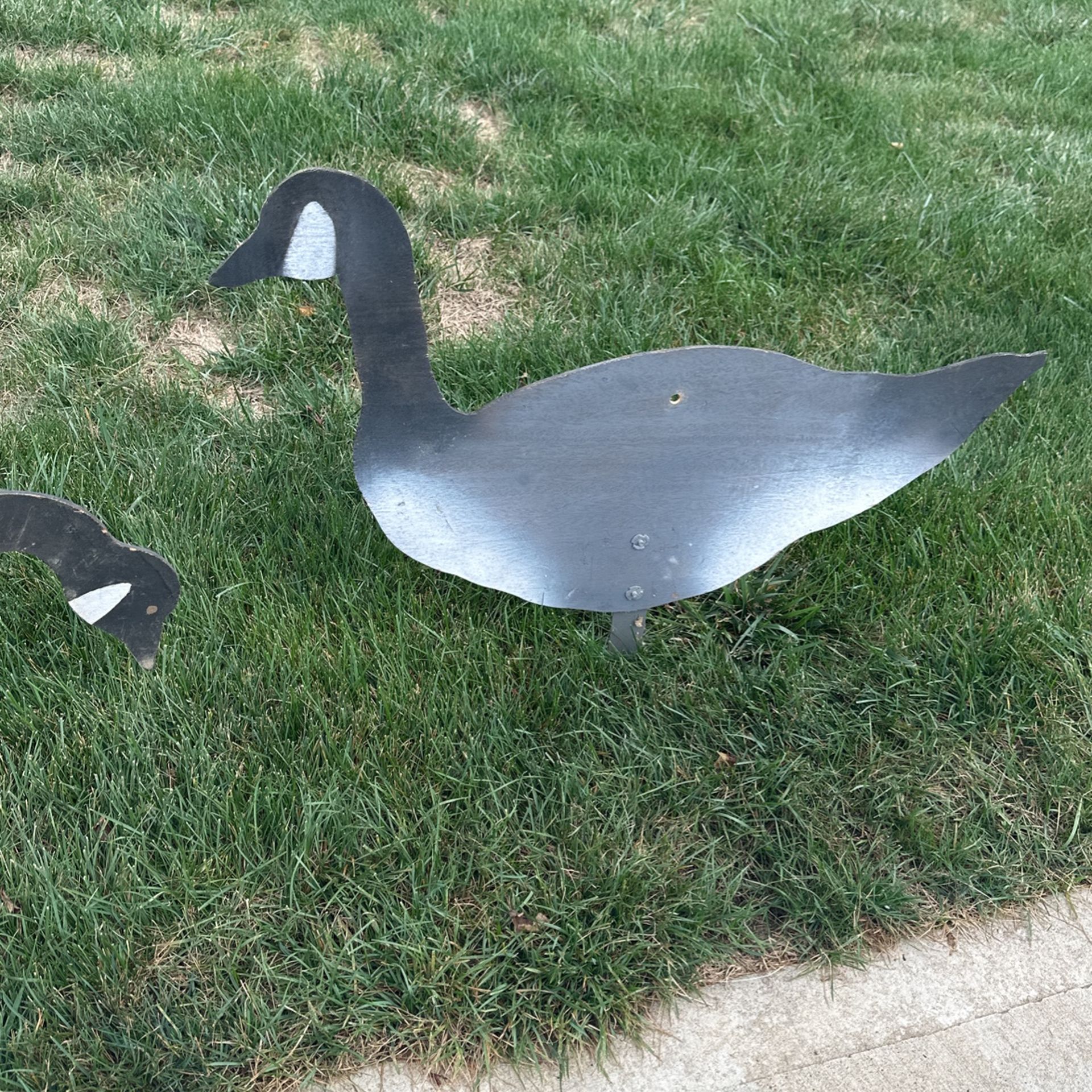 Goose Silhouette Decoys