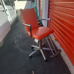 Salon Chair