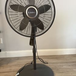 Lasko Fan Black and Gray 