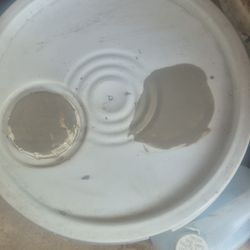 Pintura Nueva Exterior $100