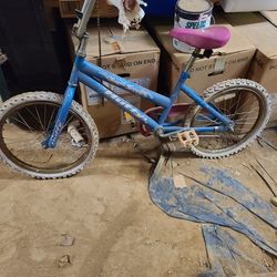 Girls Bike