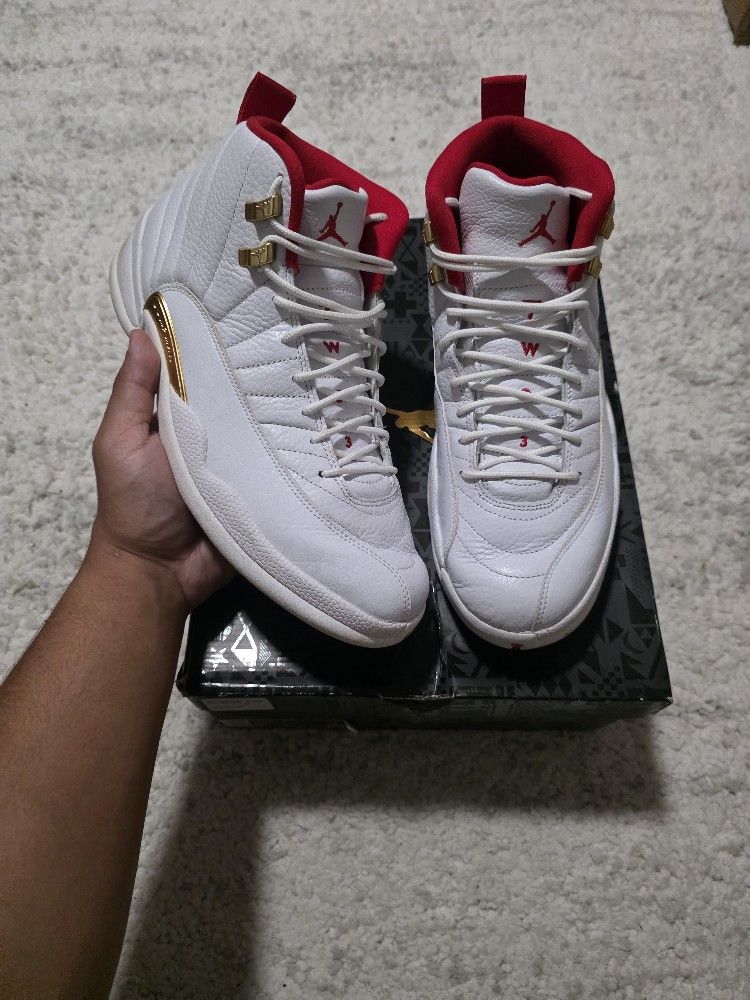 Air jordan 12 fiba