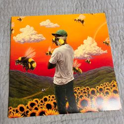 Tyler The Creator Flower boy vinyl