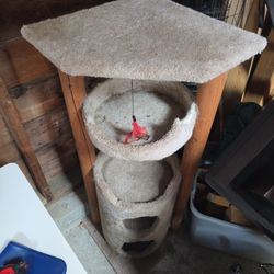 Free Cat Tree