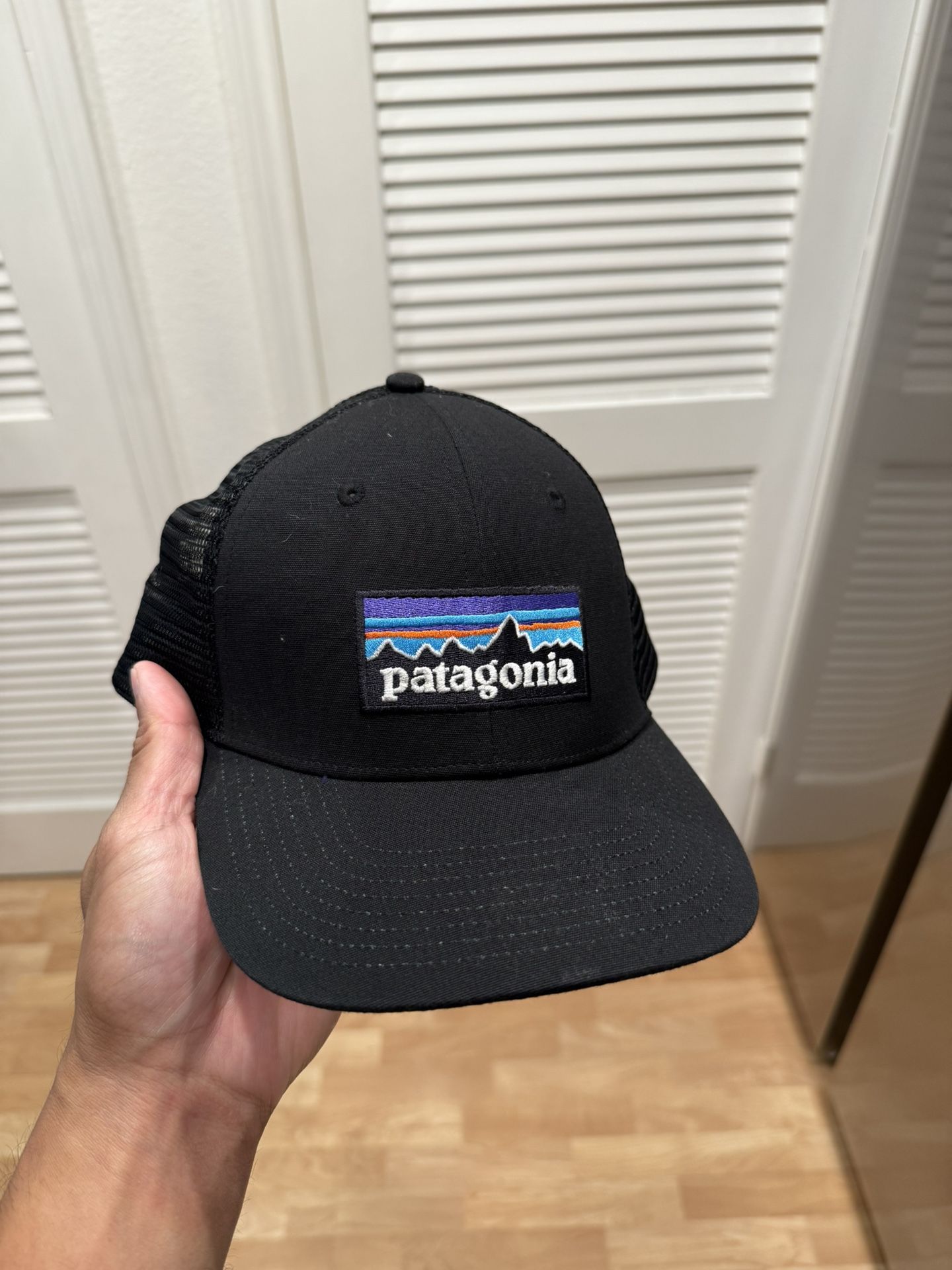 Patagonia Trucker Hat