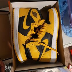 Jordan 1 Pollens Size 8.5 Ds