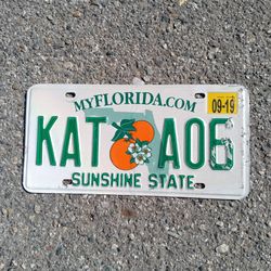 Old Florida License Plate