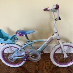 16” Frozen Bike