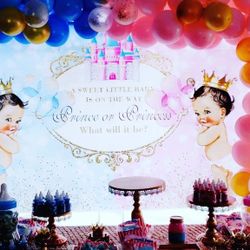 Gender Reveal Party Backdrop