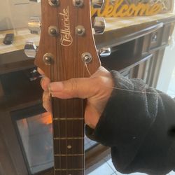 TELLURIDE Acoustic Guitar