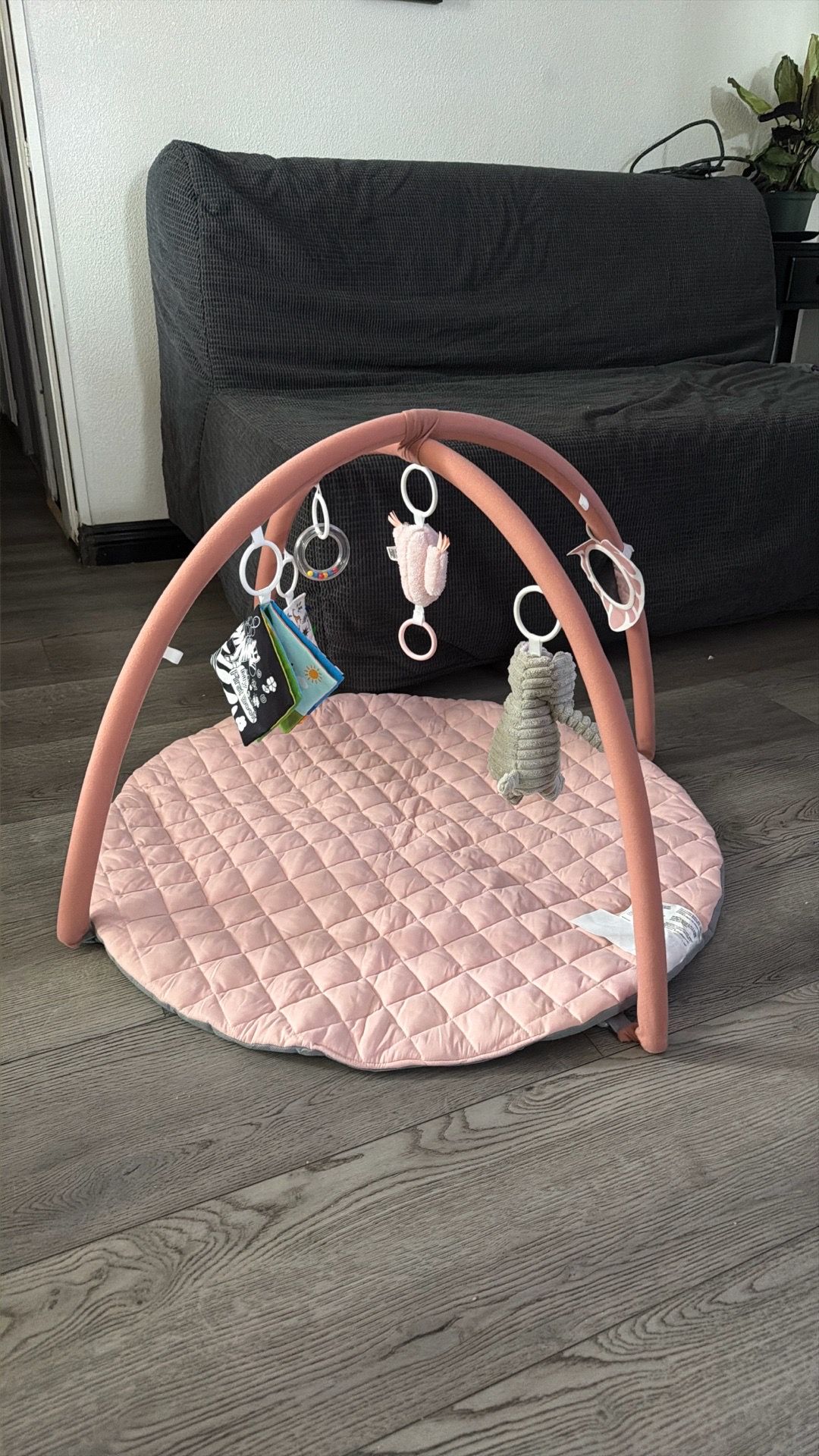 Blissful Diary Baby Play Gym Mat, Tummy Time Activity Mat with 6 Detachable Toys for Skill Development, Baby Essentials Gift, Soft Pink