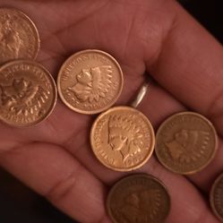 7 indian head penny 