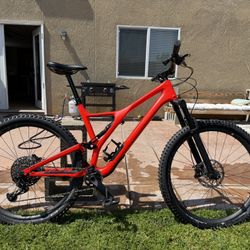 2020 Carbon Specialized Stunt jumper