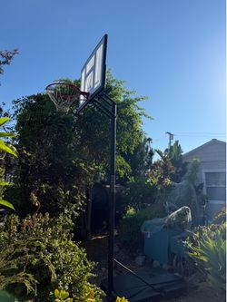 Basketball court