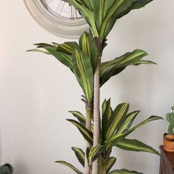 Artificial Plant For Sale