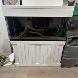 55 Gallon Fish Tank