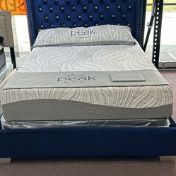 Queen Royal Blue Bed